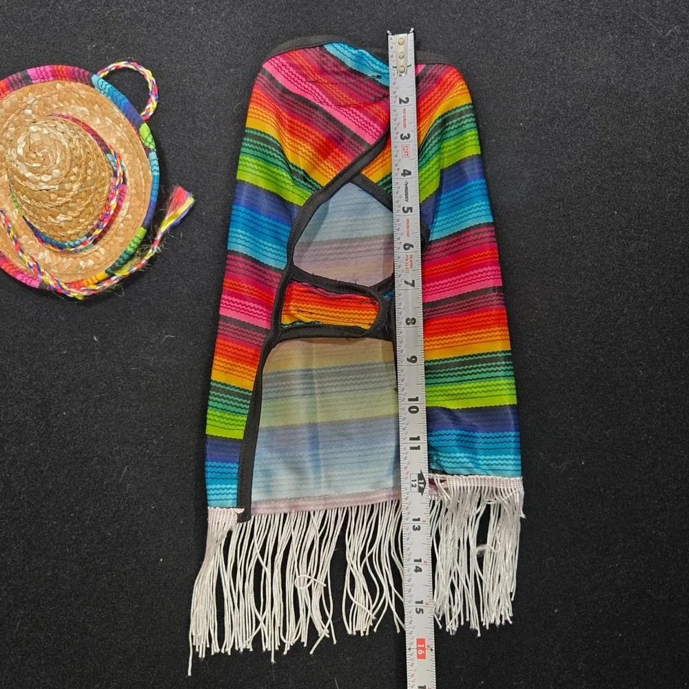 Rainbow Striped Dog Poncho and Sombrero Set Pet Costume Small Medium Festive